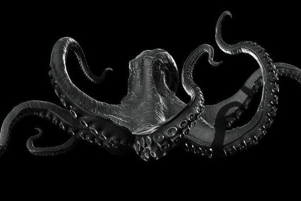 Ссылка на kraken at