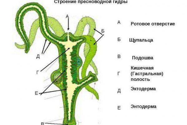 Кракен что продается