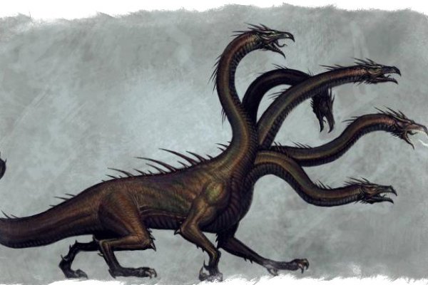 Kraken 19 at