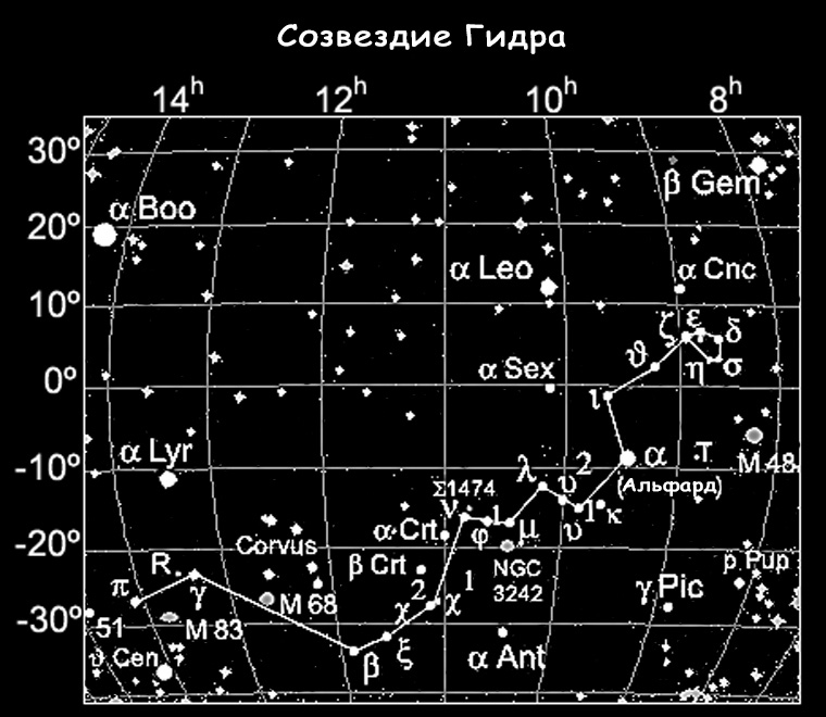 Кракен нарколог